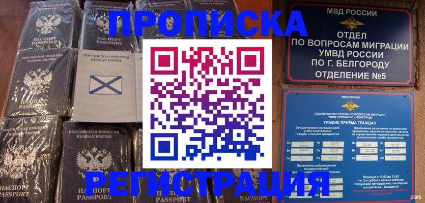 прописка гарантия в Балее